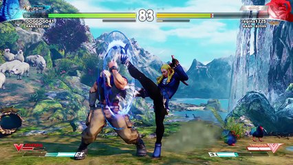 ストリートファイターV