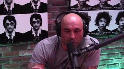 Joe Rogan "Nate Diaz Was In Conor's Head"