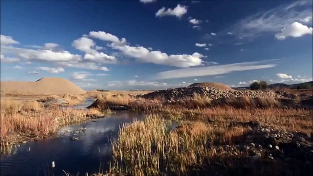 Wildlife Documentary