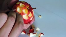 How to make apple sculpture - J.Pereira-Art Carving
