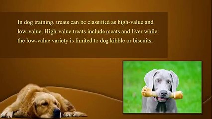 Is it Okay to Give Treats to Your Pets