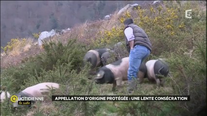 Appellation d'origine protégée : une lente consécration