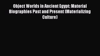 Read Object Worlds in Ancient Egypt: Material Biographies Past and Present (Materializing Culture)