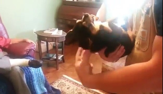 Главное вовремя притвориться мертвым - 480x360