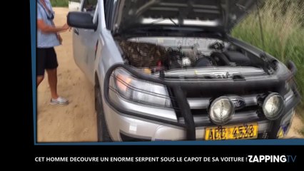 Cet homme découvre un énorme serpent sous le capot de sa voiture ! (Vidéo)