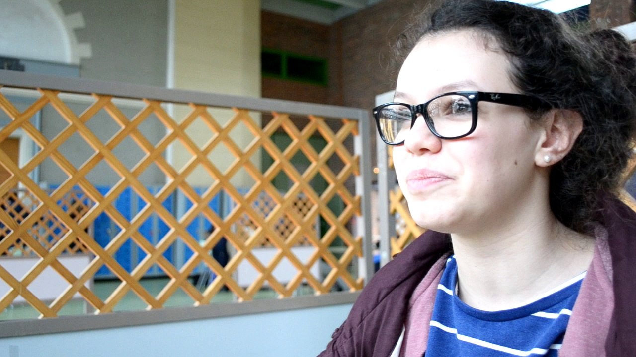 Buzzons contre le sexisme, Collège et Lycée David d'Angers