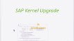 SAP Kernel Upgrade System _ Upgrading SAP Kernel