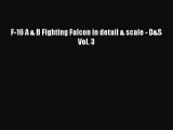 Download F-16 A & B Fighting Falcon in detail & scale - D&S Vol. 3  Read Online