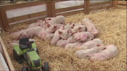 Une centaine d'agriculteurs en colère et une ferme installée à Schuman