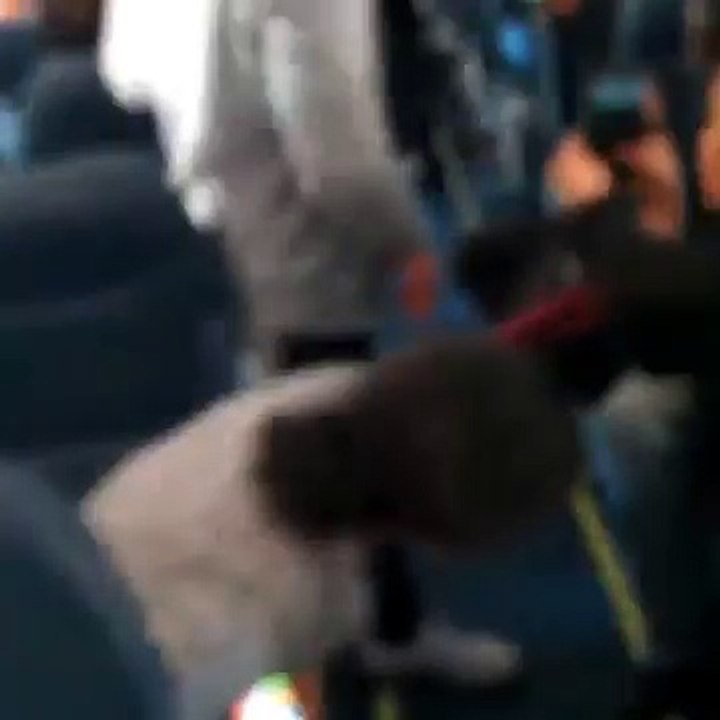 Des jeunes filles se battent dans un avion à cause...d'une musique trop forte