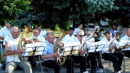 Духовой оркестр г.Андрушевка
