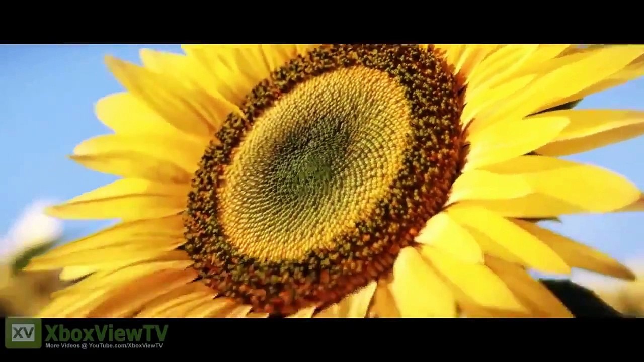 Mass Effect - Reignite