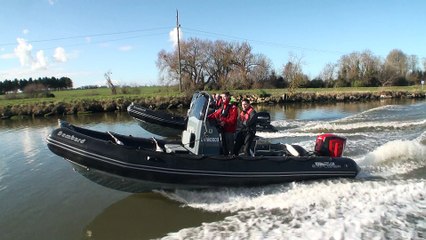 Comparatif 200 ch hors-bord