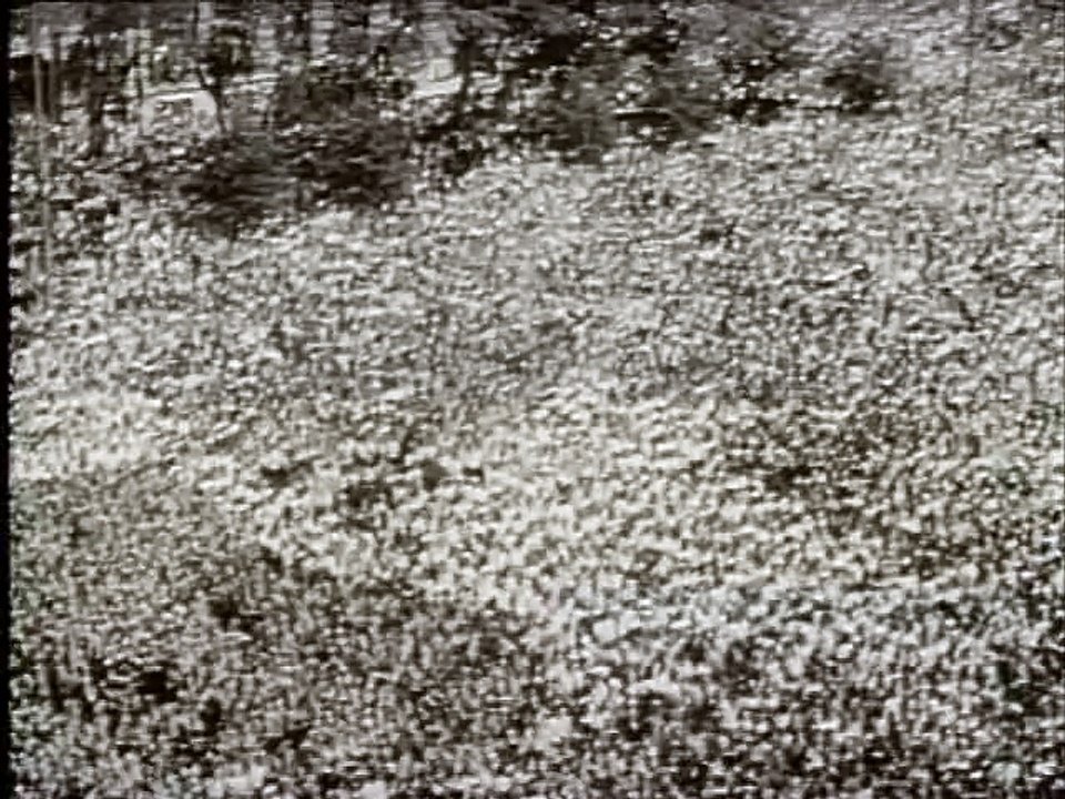 Troupes de choc du IIIème Reich - Documentaire 2nd Guerre Mondiale - Documentaire complet