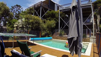 Un chat et un chien profitent de la piscine!