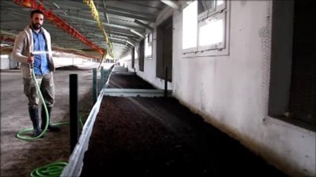 Organik Tarım İçin Solucan Gübresi Üretiyor
