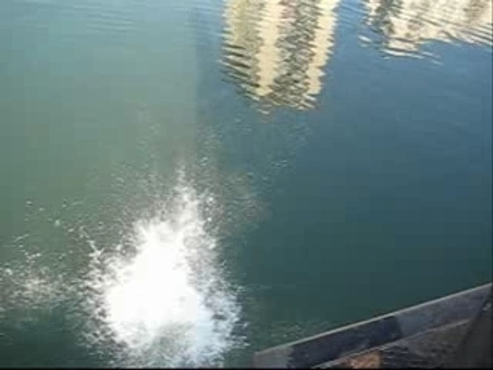 Sauts de 7 metre dans la marne