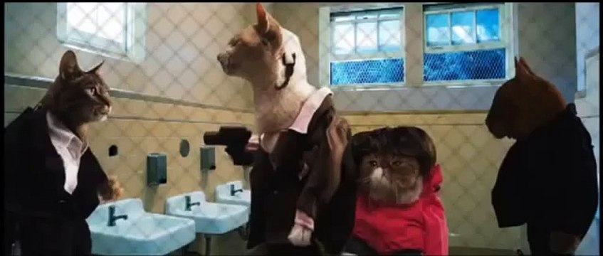 Кошачья пародия на трейлер фильма «Семь психопатов»