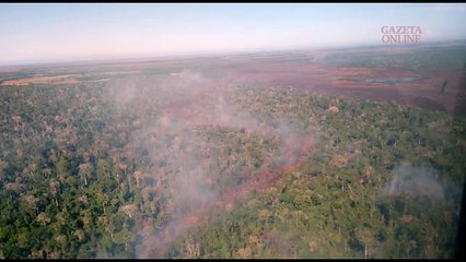 Fogo em reserva de Sooretama é registrado de helicóptero