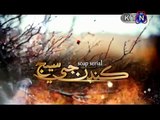KANDAN JI SEJ EPISODE 392 14 MARCH 2016 KTN TV SINDHI DRAMA
