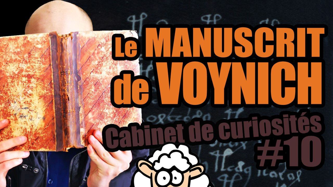 Le MANUSCRIT de VOYNICH - Cabinet de curiosités #10