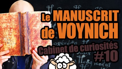 Le MANUSCRIT de VOYNICH - Cabinet de curiosités #10