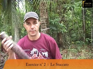 L'essentiel du Didgeridoo - Cours 14 : comment se chauffer au didgeridoo