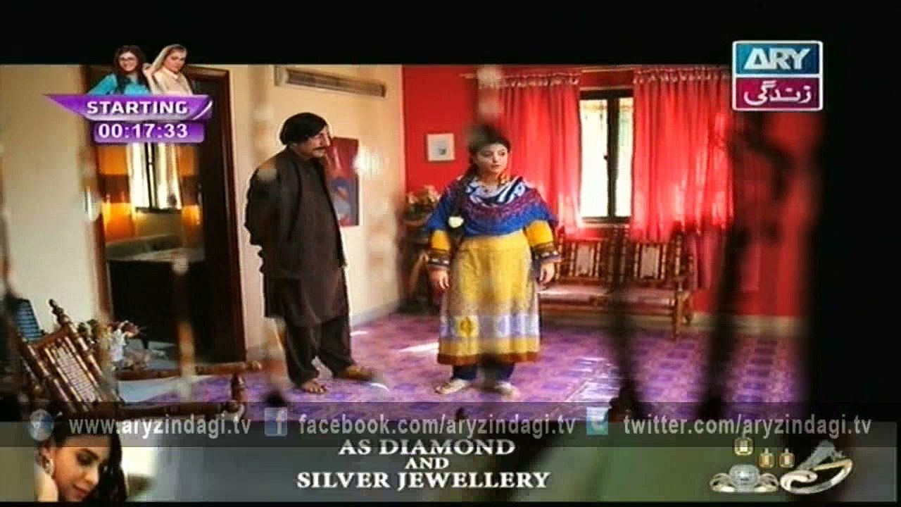 Hamari Bitya Episode - 117 - 14th March 2016