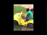 Little boy teaching a little girl how to ride a car