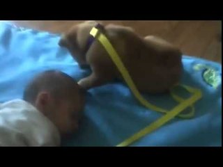 Her Baby Is Asleep  Now Watch What The Puppy Does… Oh My GOD!