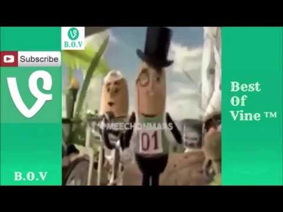 Best of Deez Nuts Vine Compilation - Deez Nuts Got em Vines 2015