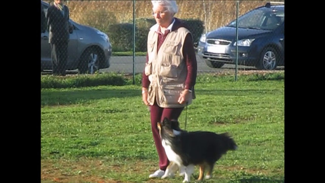 2015.11.14 - It's Me - Brevet d'Obéissance