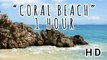 CORAL BEACH | A Lonely Island Bay with relaxing Ocean Waves and Sea Foam | 1 HOURS 2016 (1080p FullHD)