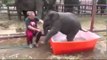 Baby elephant taking a bath