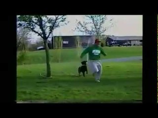 Dog Steals Hose and Sprays Owner   So funny !