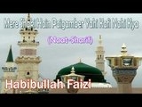 Mere Shaki Hain Paigamber Yahi Kafi Nahi Kya ☪☪ Beautiful Naat Sharif ☪☪ Habibullah Faizi [HD]