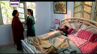 Gudiya Rani Episode 179 on Ary Digital
