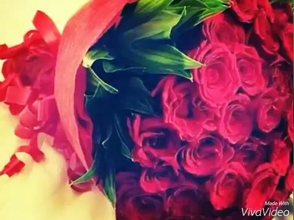 Feliz aniversário - viva vídeo