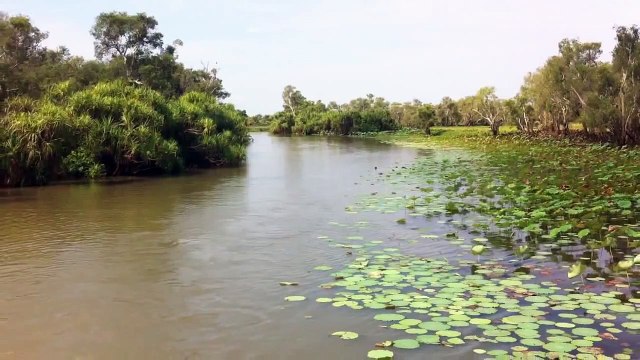 Creedence Clearwater Revival proud mary -Rollin' on a river