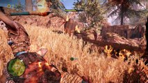 The Blaze Mission Walkthrough Gameplay in Far Cry Primal (HD)