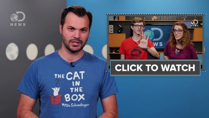 Do Small Hands Mean You Have a Small Penis-