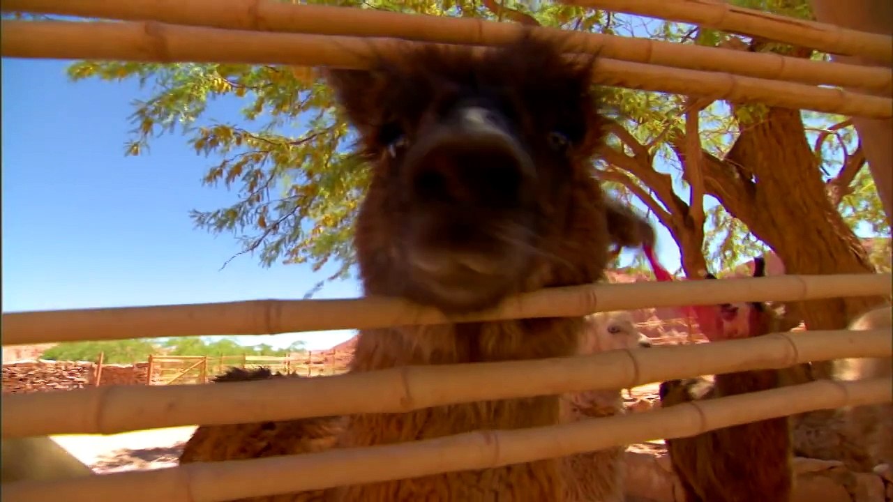 Outtakes Chile, SI Swimsuit 2010