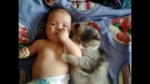 Cute cat loves baby - from funny and cute cats and babies collection