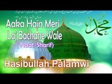 HD New Naat Sharif || Aaka Hain Meri Laj Bachane Wale || Hasibullah Palamwi