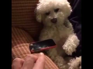When someone tries to take your phone