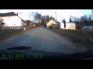 Just a random Guy walking his Dog     wait, what!