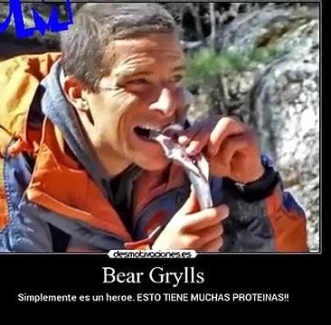 Muere Bear Grylls presentador de A prueba de todo | dead Bear Grylls