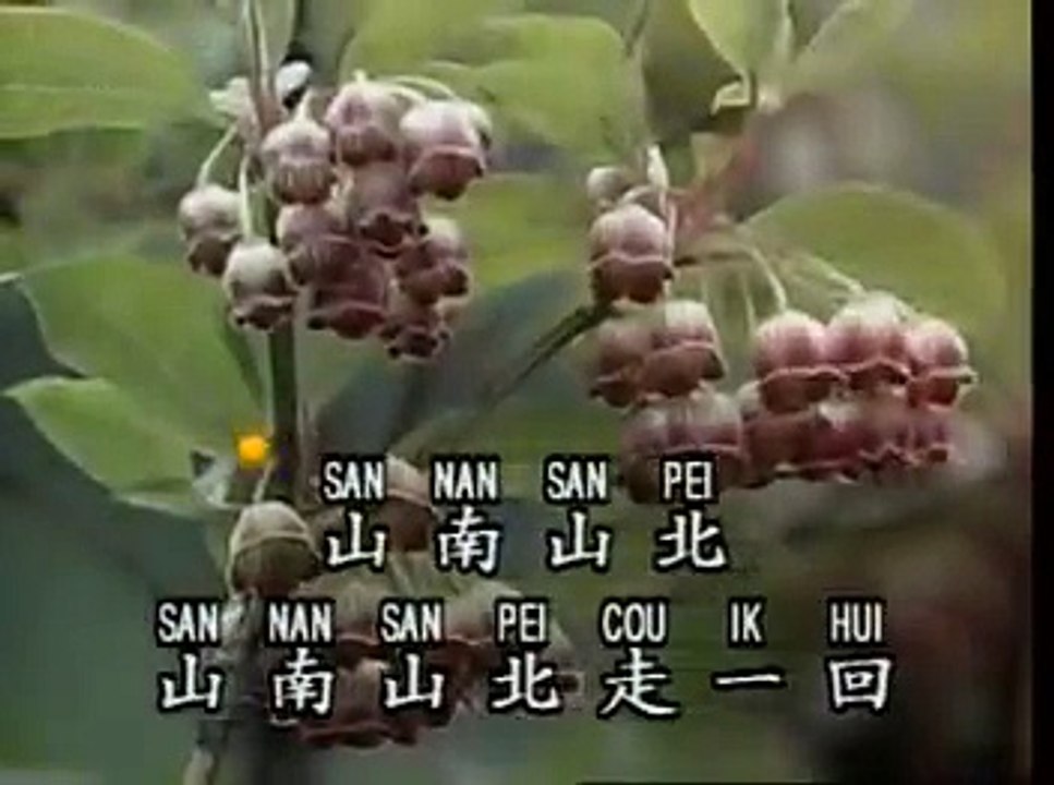 鑽石金曲 山南山北走一回 KTV
