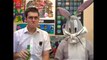 AVGN Beats Bugs Bunny  Bugs Bunny Cartoons
