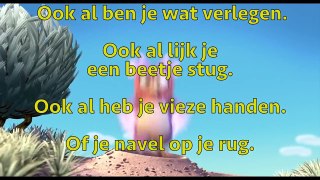 #38 Je mag er zijn (met tekst) Herman Boon